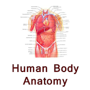 Human body anatomy tips hindi