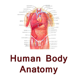 Icon image Human body anatomy tips hindi