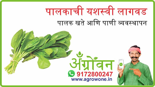 रानभाज्या लागवड #Agrownet™ Screen 3
