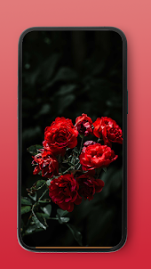Red Wallpaper collection