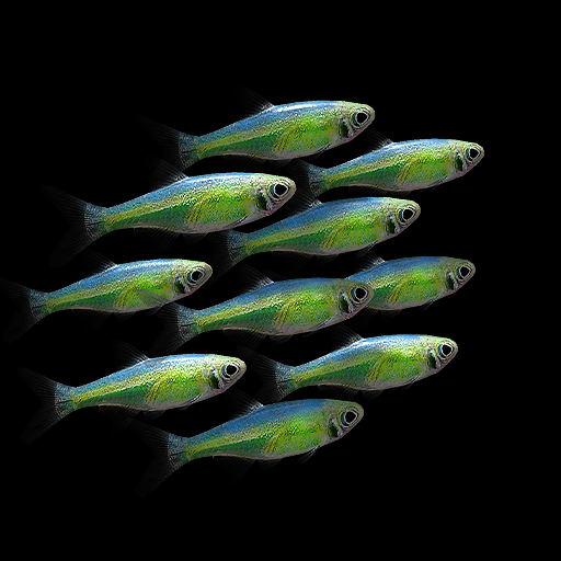 Nano Aquarium logo