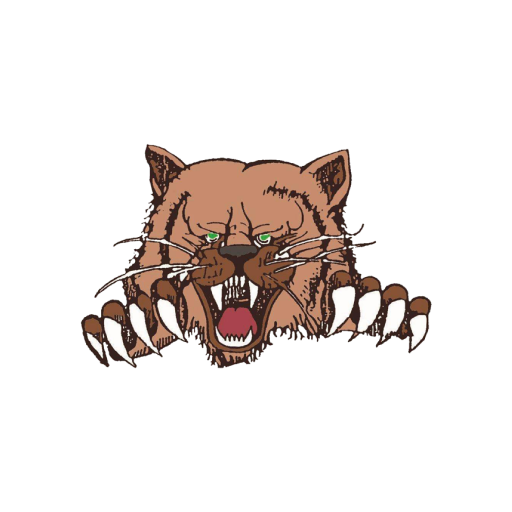 Ray Unified School District #3 logo