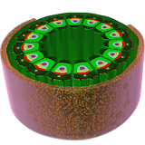 Section of Stem 3D icon