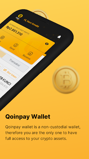 Qoinpay Screen 2
