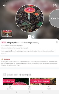 Picture Mushroom - Pilzführer Screenshot