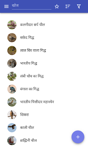 ऐप पूर्वावलोकन