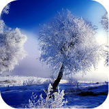 Cool Winter Backgrounds icon