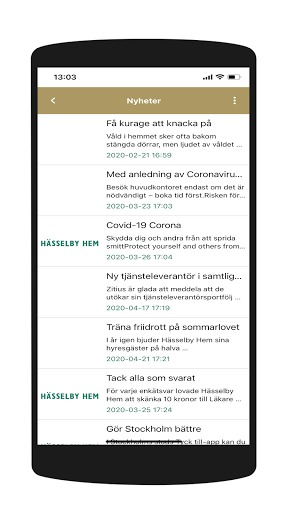 Hässelby Hem HG Screen 3