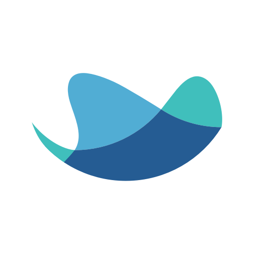 RAYNET CRM logo