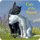 Cats of the Forest 1.1.1
