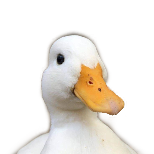 Ducks Stickers for WA Download on Windows