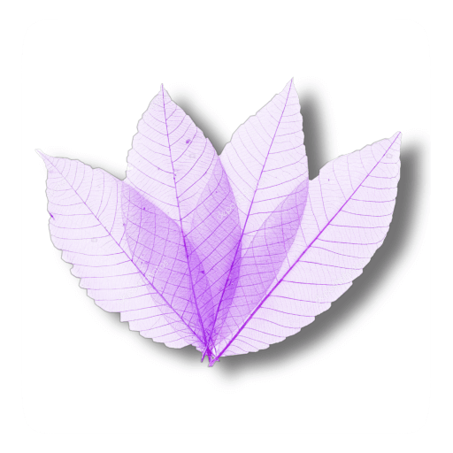 Photo Collage Editor logo