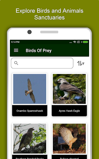 Screenshot of Zimbabwe Travel & Explore, Off