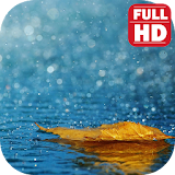 Free Rain Sleep Sounds Download. icon