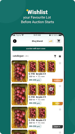 FruitX Screen 3