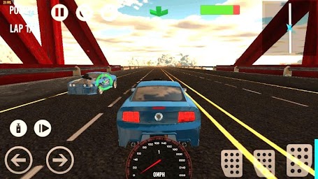 End Race Racing Multiplayer
