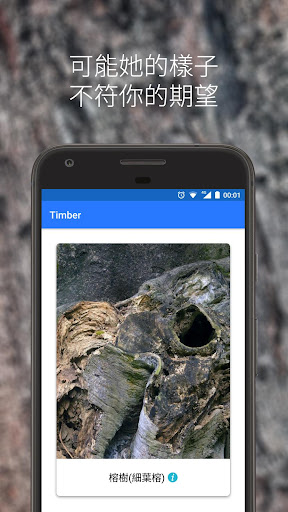 Timber - 香港古樹皮圖鑑 Screen 3