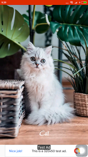 Nhạc Chuông Âm Thanh Động Vật