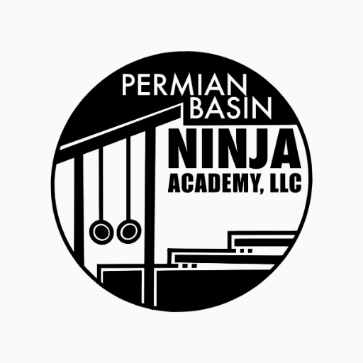 PB Ninja Academy logo