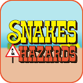 Download RSA Snakes Hazards 1.4 Apk for android