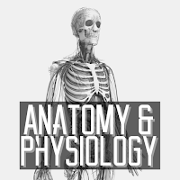 Human Anatomy & Physiology Boo
