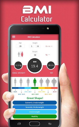 BMI Calculator - Ideal Weight Screen 2