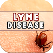 Lyme: Causes, Diagnosis, and Treatment
