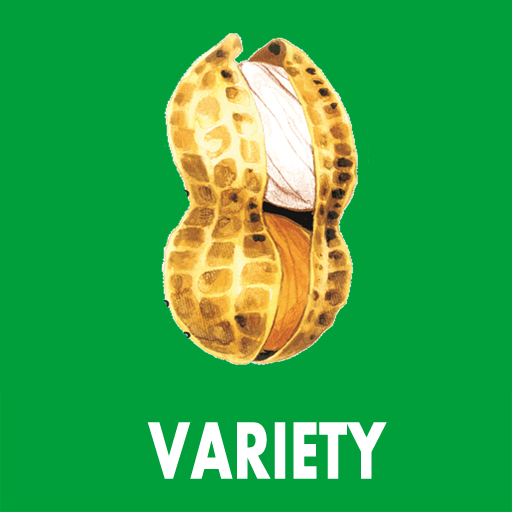 Groundnut varieties of India logo