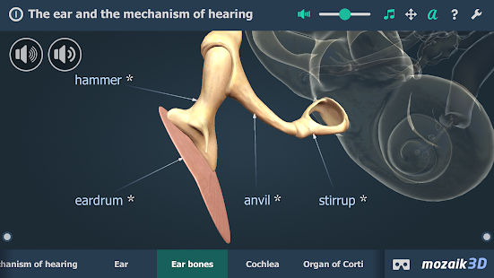 The mechanism of hearing educational VR 3D