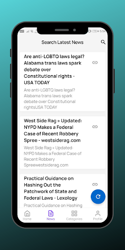 US Laws and Legal Issues Screen 2