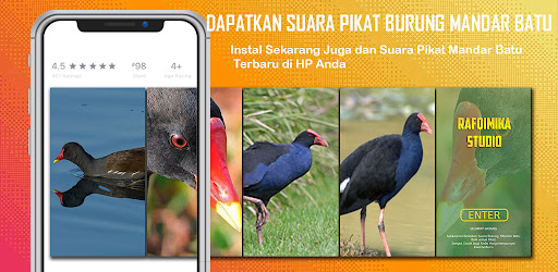 Android application Suara Pikat burung Mandar Batu screenshort