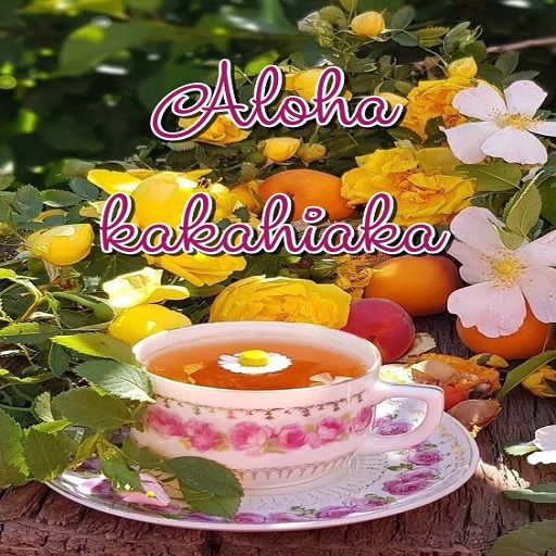 Good morning-Hawaiian logo