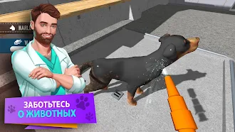 Game screenshot Animal Shelter Simulator apk download