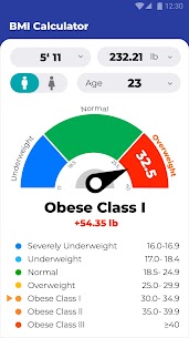 BMI Calculator – Ideal Weight 7