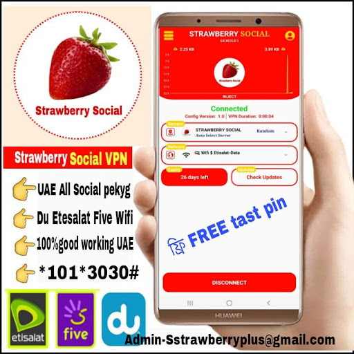 STRAWBERRY SOCIAL VPN
