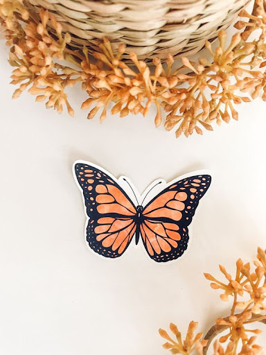 Android application Monarch Butterfly Wallpapers screenshort