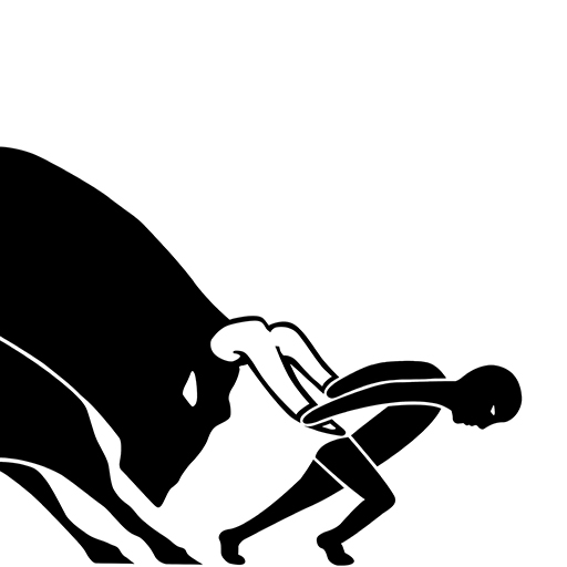 No Bull Personal Training logo