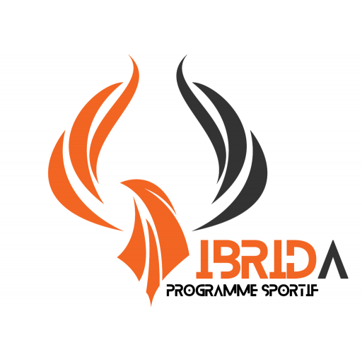 Ibrida logo