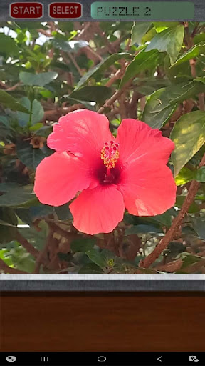 Flower Puzzle Screen 3