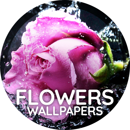 Flores papel de parede 4k Baixe no Windows