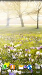 screenshot of Spring Landscapes Wallpaper