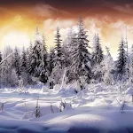 Cover Image of Tải xuống Winter Wallpapers  APK