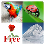 Learn English Words Free  Icon