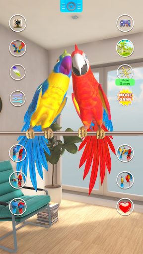 Talking Parrot Couple Apk3