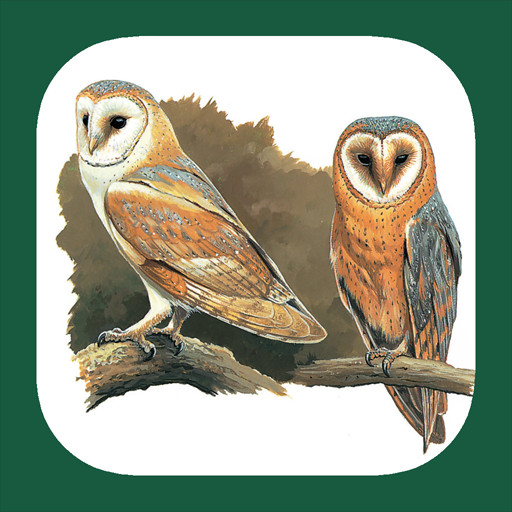 Birds of UK & Ireland 1.0.1 Icon