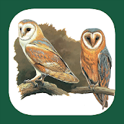 Top 39 Books & Reference Apps Like Birds of UK & Ireland - Best Alternatives