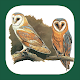 Birds of UK & Ireland Download on Windows