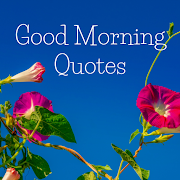 Good Morning Quotes  Icon