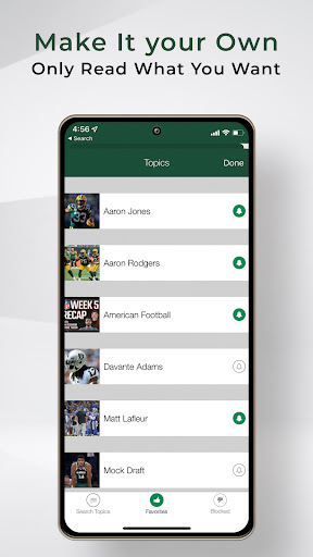 Screenshot of Green Bay Football News