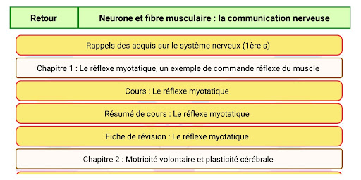 Cours SVT Terminale S Screen 2